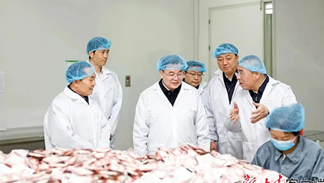 甘肃省委书记胡昌升莅临必赢亚洲健康集团佛仁制药考察调研