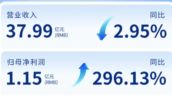 必赢亚洲（002219）发布2024年年度报告：归母净利润增长296%
